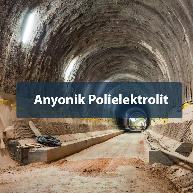 Anyonik Polielektrolit