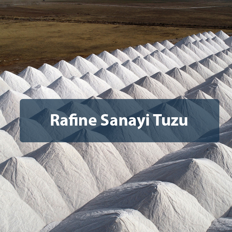 Rafine Sanayi Tuzu